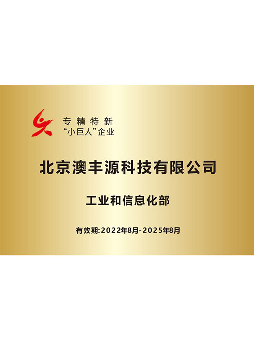 专精特新“小巨人”企业